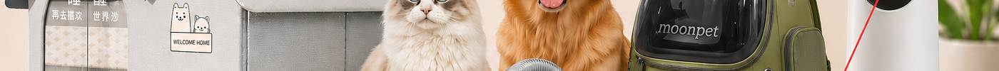10 Everyday Pet Essentials Worth Buying In 2026