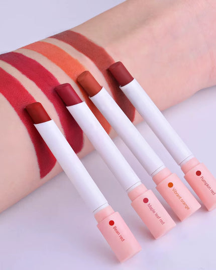 4Colors/Set Cigarette Lip Gloss Set Velvet Matte Waterproof Long-Lasting & Non-Stick 