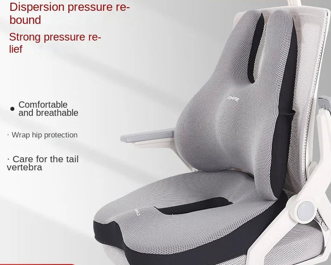 ErgoComfort Memory Foam Seat & Back Cushion for Back & Tailbone Support