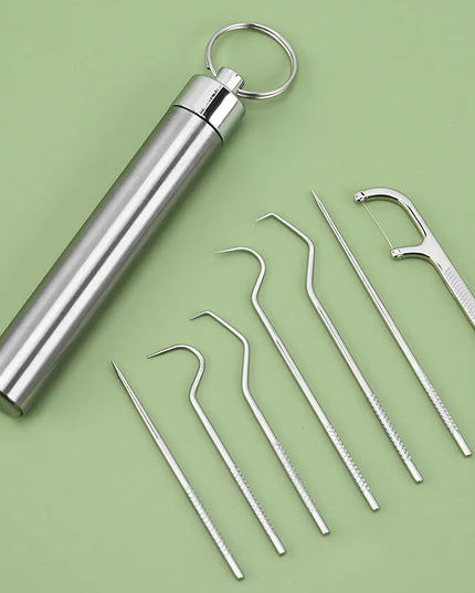 Stainless Toothpick set - small portable reusable Steel Tooth care toothpick Set  , Flossing,Tartar Removal 
