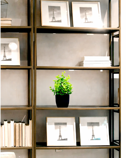 artificial decoration Plant with Black Pot -1pcs