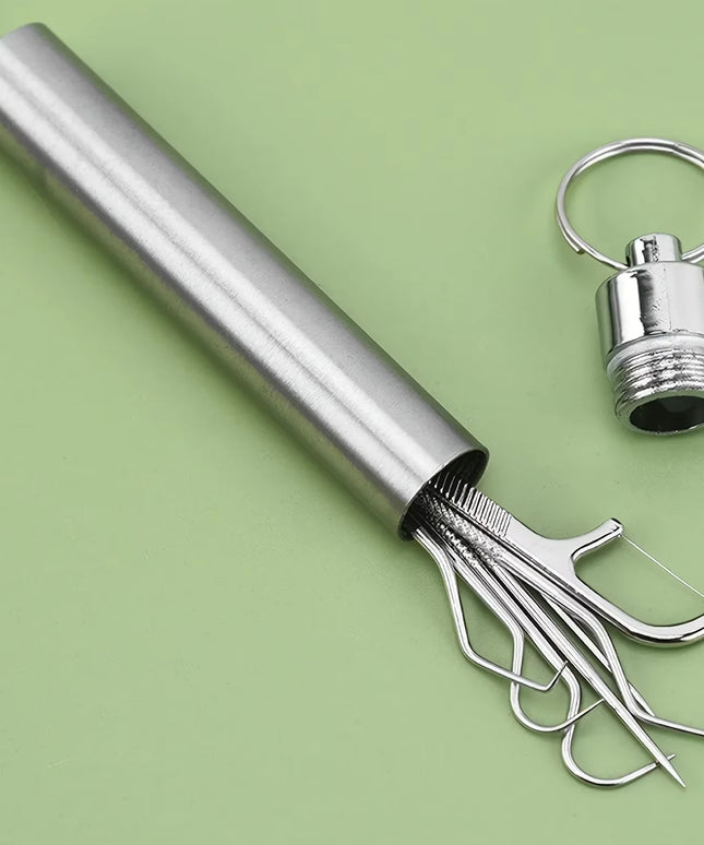 Stainless Toothpick set - small portable reusable Steel Tooth care toothpick Set  , Flossing,Tartar Removal 