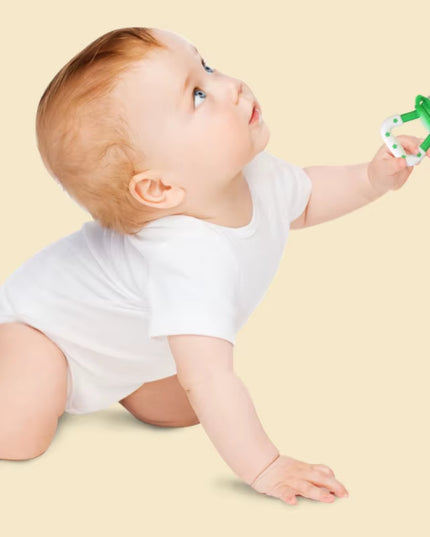 Food grade Baby Silicone feeder ,Food and fruits Supplement Pacifier Molar Stick - colorful set of 4pcs