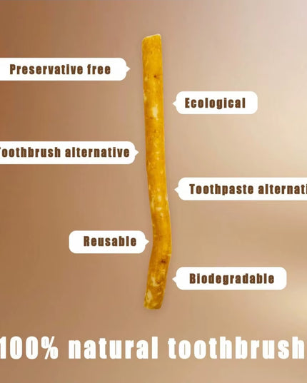 Miswak - Branch Lilac Flavored Miswak natural Toothbrush ,traditional Toothbrush Stick for Good Gums Teeth Fresher Breath- 5pcs