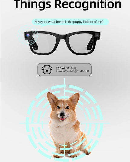 800W Pixel Intelligent Glasses G300 AI HD Shooting, Video Recording,Voice Call, pictures, Translation Auto Tinting Smart Glasses