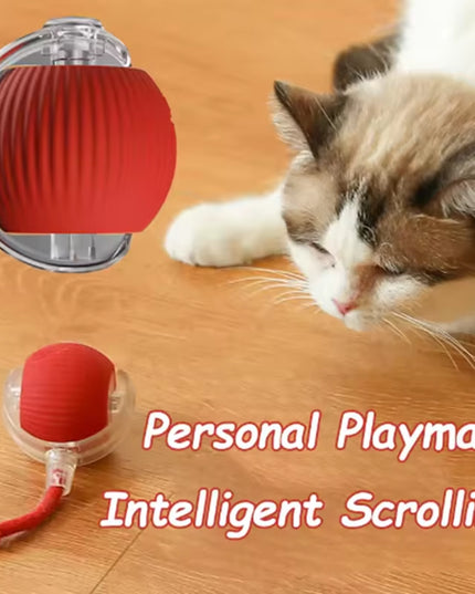 PlayBall - smart Obstacle Avoidance Interactive and durable Cat / dog toy ball with different modes