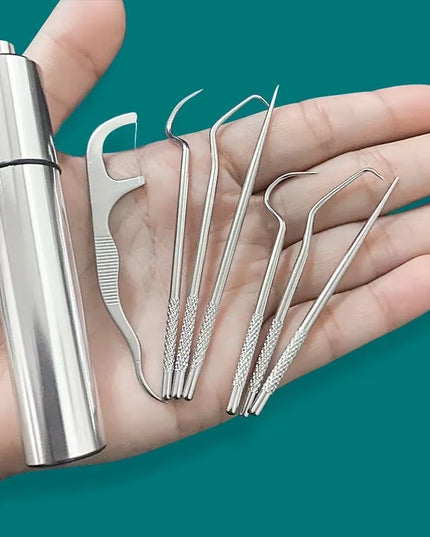 Stainless Toothpick set - small portable reusable Steel Tooth care toothpick Set  , Flossing,Tartar Removal 