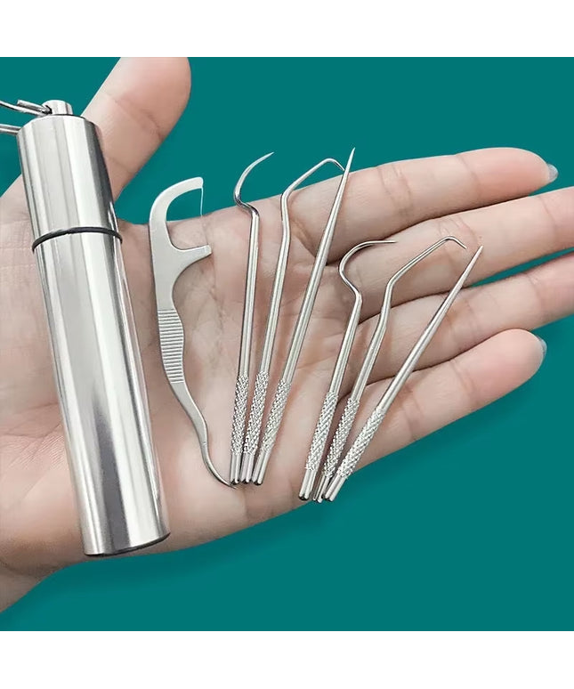 Stainless Toothpick set - small portable reusable Steel Tooth care toothpick Set  , Flossing,Tartar Removal 