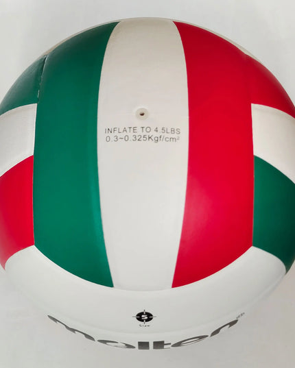 Professional Volleyball, Beach Volleyball,