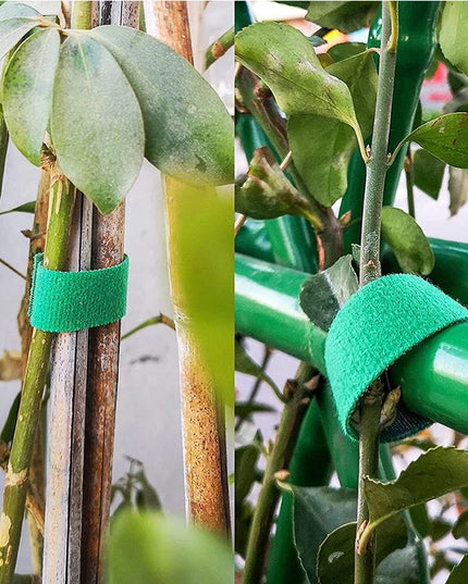 Garden Plant Support ties  -3pcs green color