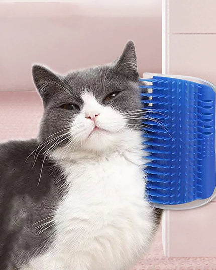 mounting Cat self grooming brush 