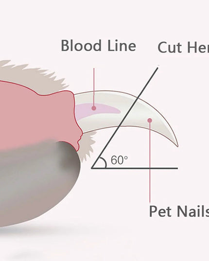 PetClippers - Professional battery powered Pet Nail Clippers with Led Light 