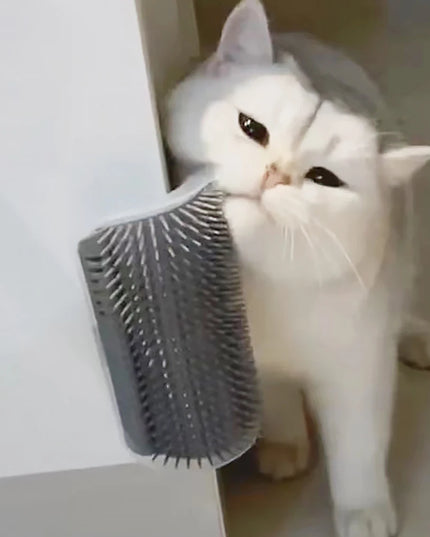 mounting Cat self grooming brush 