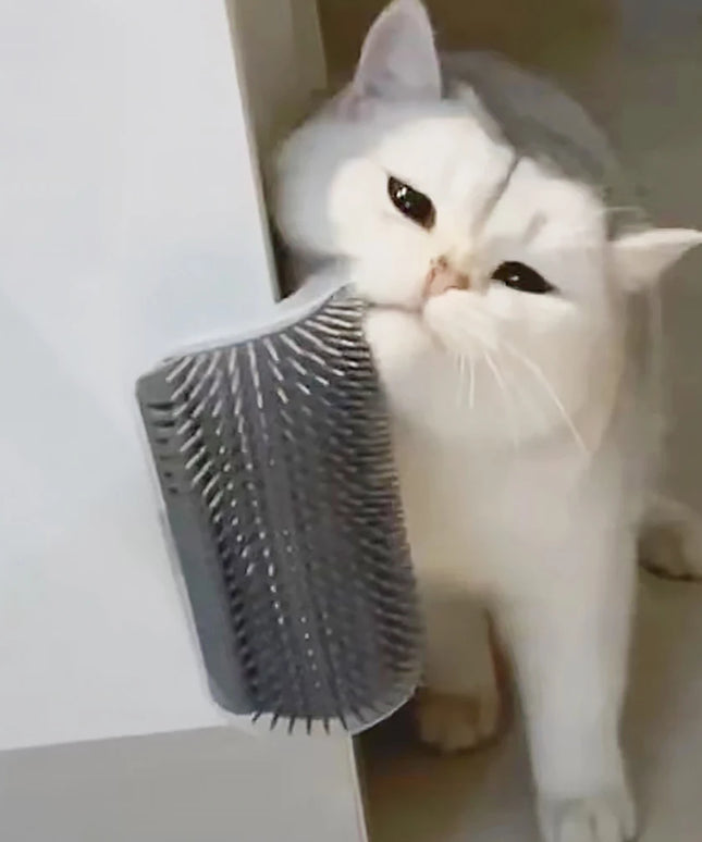 mounting Cat self grooming brush 