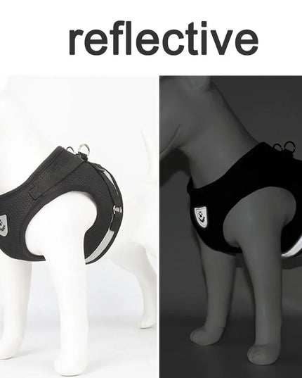 Adjustable & reflective mesh Cat Harness Leash for cats / small dogs