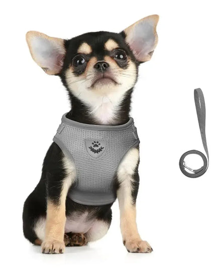 Adjustable & reflective mesh Cat Harness Leash for cats / small dogs
