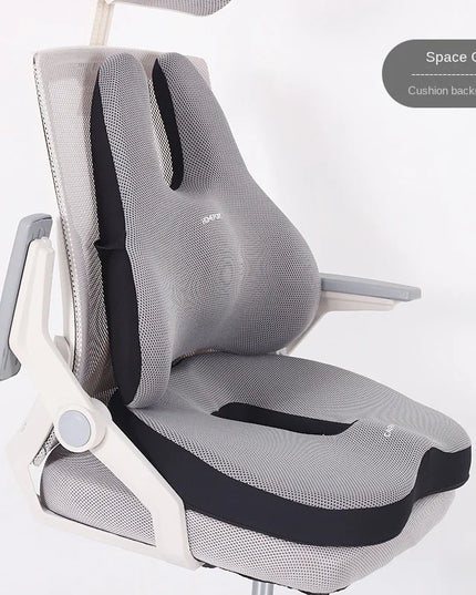 ErgoComfort Memory Foam Seat & Back Cushion for Back & Tailbone Support